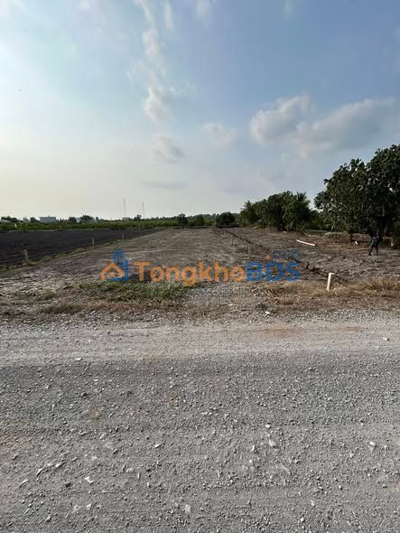 Đất vườn 880m² mặt tiền Kênh 8, Thủ Thừa, Long An - Sổ hồng sẵn sàng