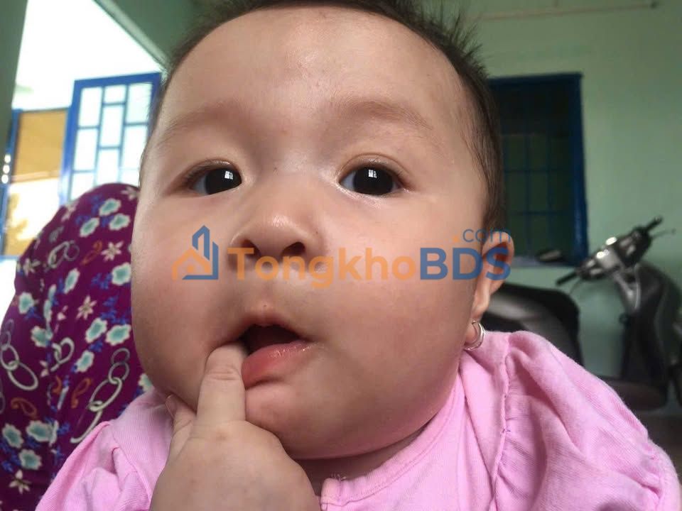 Bán Đất Long Thành 168m² Hướng Nam - Sổ Đỏ Sẵn Sàng - Giá 1.25 Tỷ