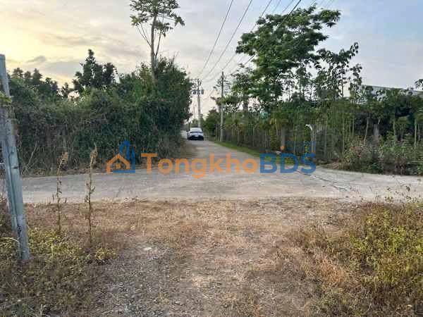 Bán Gấp 2 Lô Đất Vàng Cẩm Mỹ, Đồng Nai 13.865m² - Mặt Tiền Trục Lớn