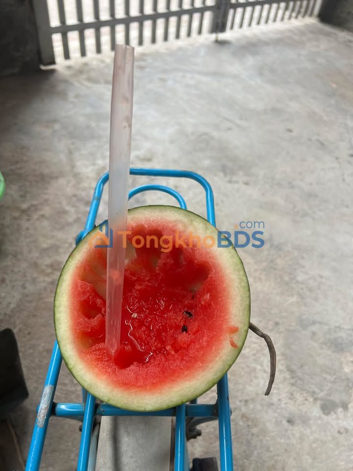 Đất nền Vĩnh Phúc 135m² - Mặt tiền rộng, cạnh KCN Yên Sơn - Giá tốt