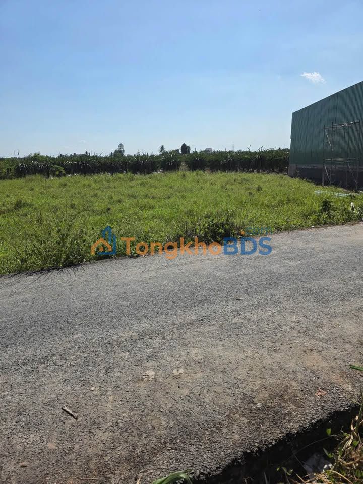 Đất Long An 150m² Mặt Tiền Nhựa - Sổ Hồng Sẵn Sàng