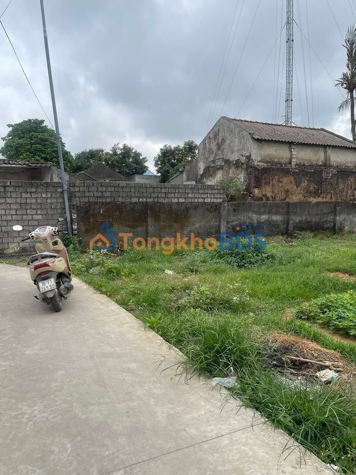 Bán Đất Nền Thôn Tân Hải, Hậu Lộc 137m² Hướng Đông - Giá Tốt