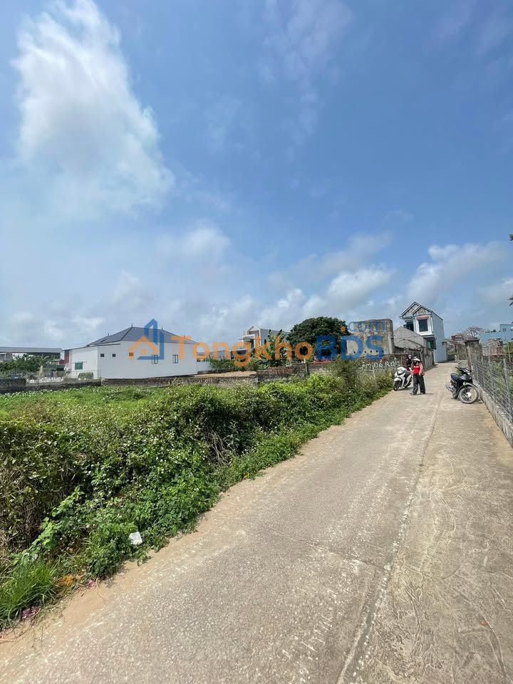 Đất Ninh Khang Vĩnh Lộc 100m² - 850 Triệu, Full Thổ Cư, Sổ Hồng Sẵn