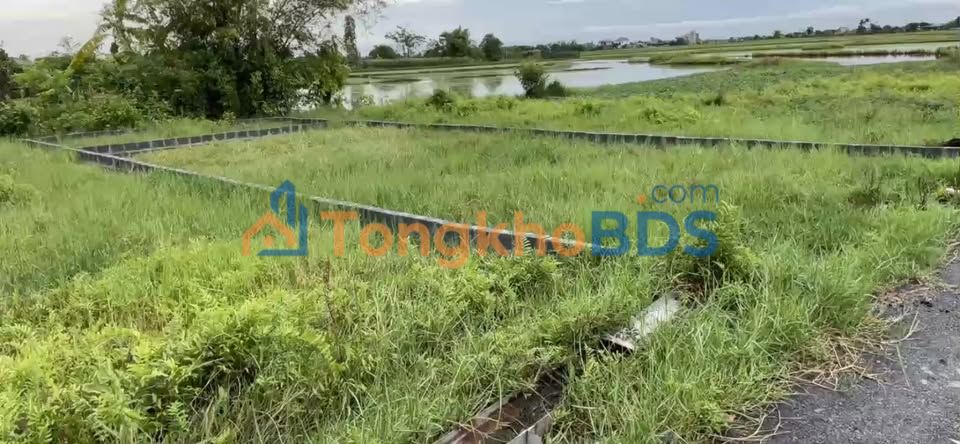 Đất nền Vũ Bình, Kiến Xương 98m² - Giá cắt lỗ chỉ từ 5xx triệu