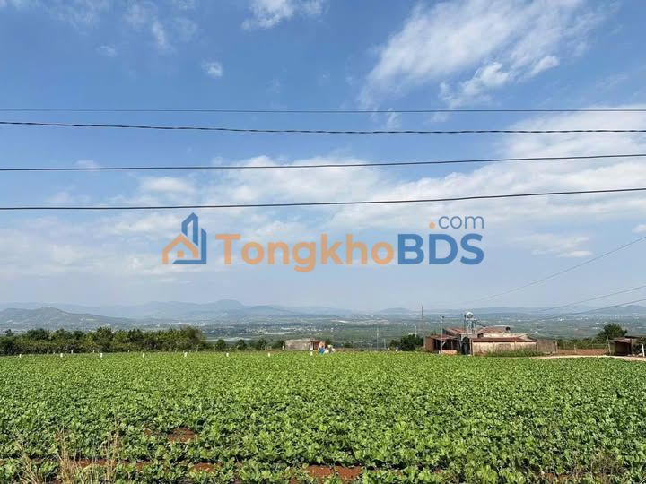 Đất Tân Văn Lâm Hà 135m² Sổ Đỏ - Giá 1.7 Tỷ