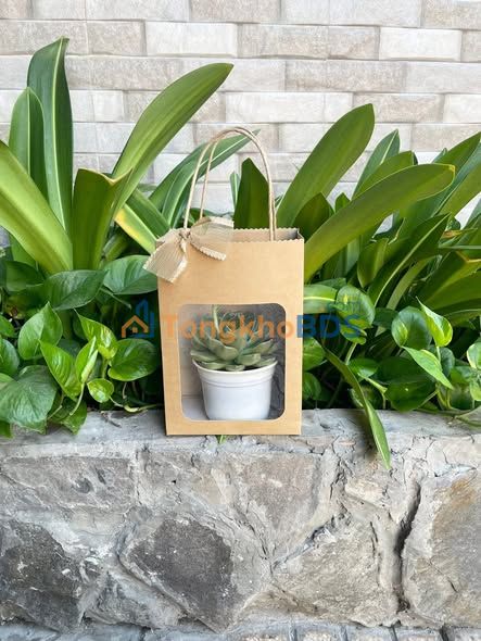 Đất nền mặt tiền Hà Tiên 75m² giá 1 tỷ - Gần Chợ Bình Thành