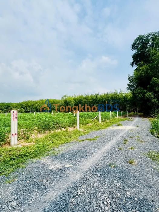 Đất nền Thạnh Đức Gò Dầu 200m² 315 triệu - Xây dựng tự do