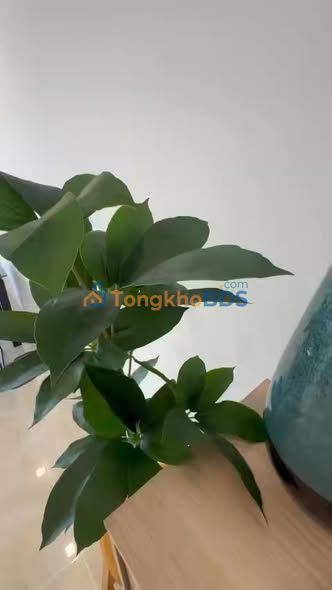 Căn hộ Vinhomes Golden River 78m² - View Sông Sài Gòn Sẵn Sổ Hồng