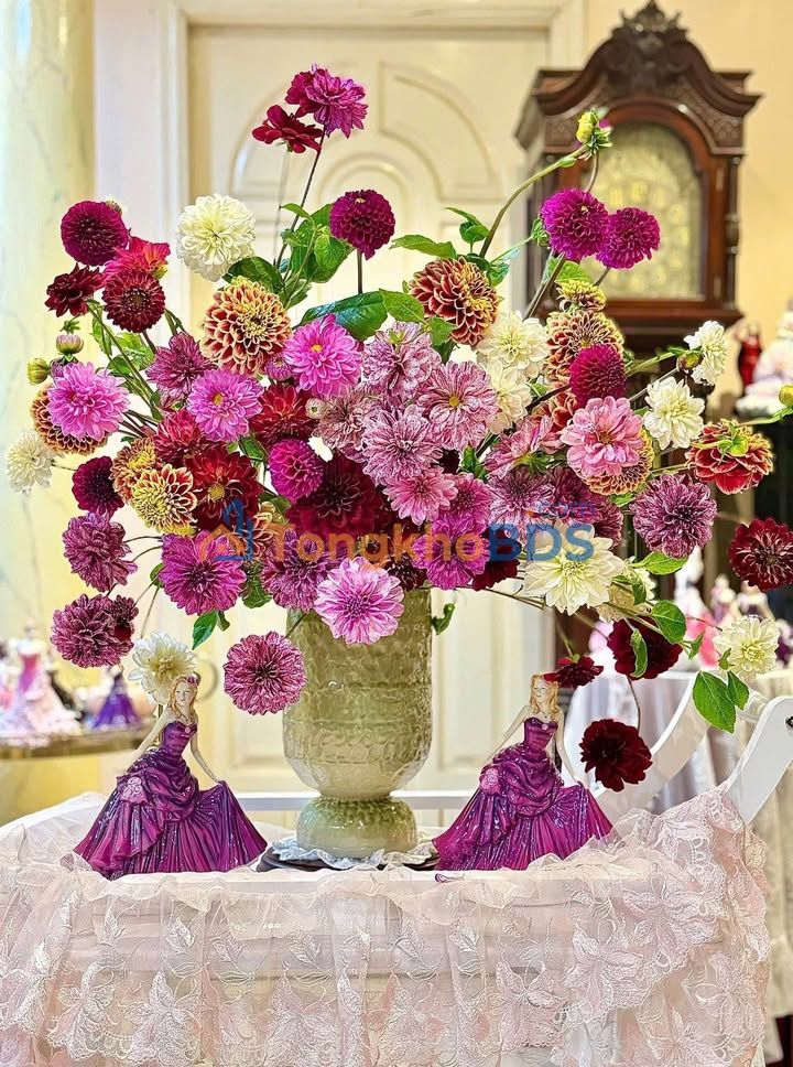 Nhà Mặt Tiền Tuyến 2 Đà Nẵng - Hải Phòng, 118m² (472m² sàn) - Dòng Tiền 8 Triệu/Tháng