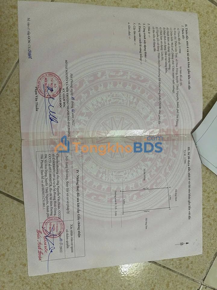 Đất nền Hoa Động, Thủy Nguyên 90m² - Sổ đỏ sẵn sàng sang tên