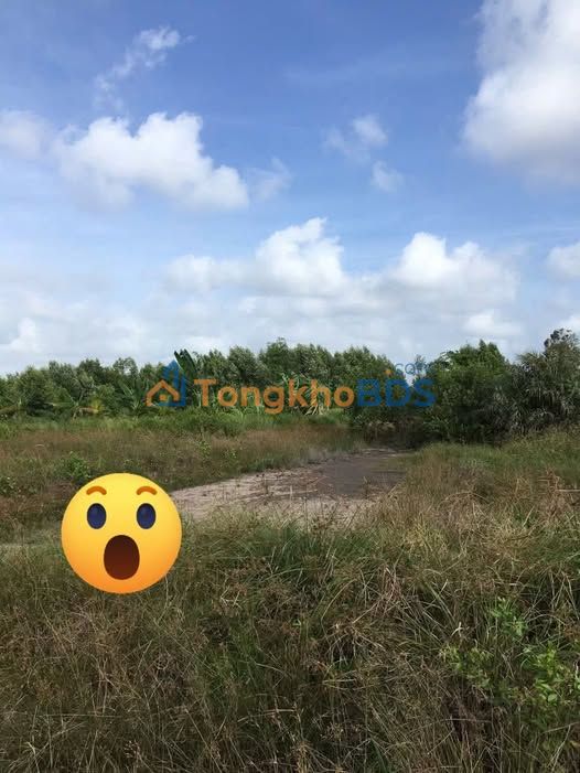 Đất Nền 3500m² Huyện Năm Căn, Cà Mau - Sổ Đỏ, Giá 15 Tỷ