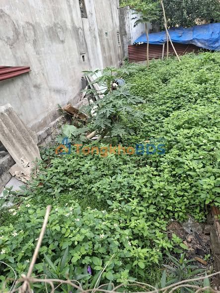 Đất Vàng Phú Xuyên 54m² - Sổ Đỏ Sẵn, Ô Tô Tránh