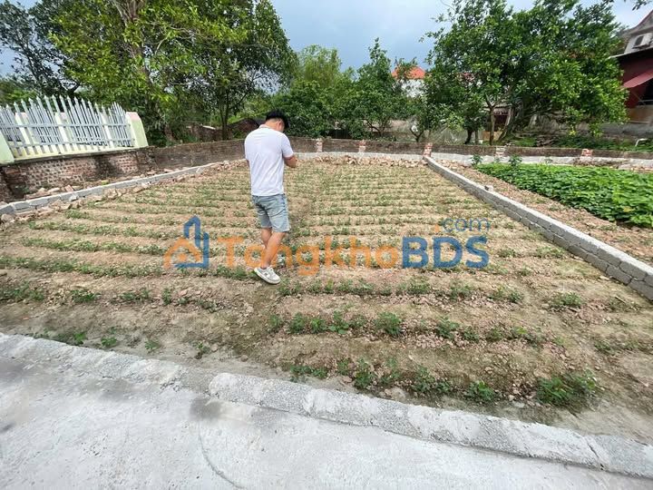 Đất Nền Khai Thái, Phú Xuyên 80m² - Giá F0 1.35 Tỷ, Tiềm Năng Tăng Giá Vượt Trội