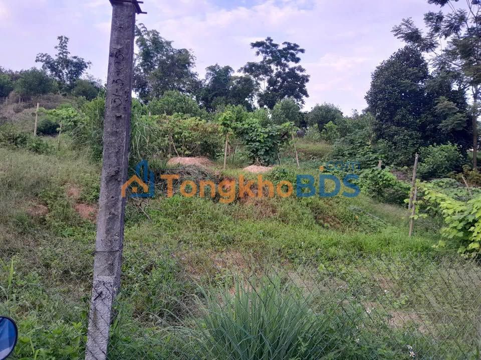 Đất nền 130m² Thôn Hoà Mục, Yên Sơn - Sổ đỏ sẵn sàng giao dịch