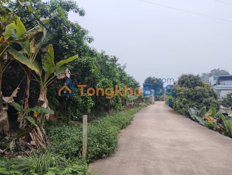 Bán Đất Vàng Phường Hưng Thành, Tuyên Quang - 176.5m² Sẵn Sổ