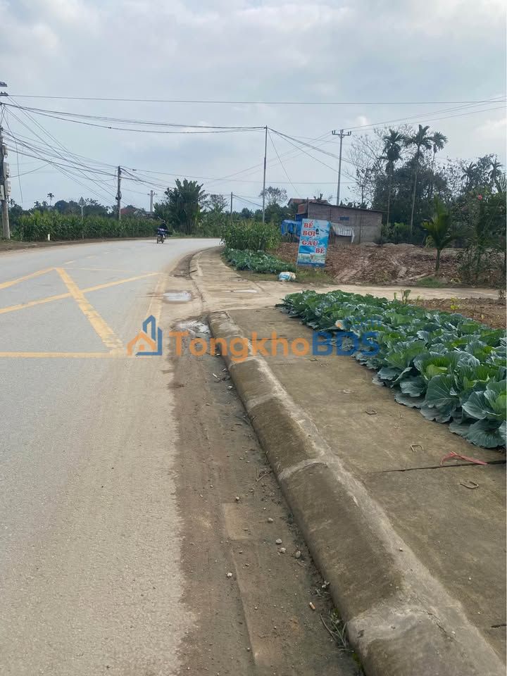 Bán Gấp Đất Vàng 1580m² Yên Bái - Giá Đầu Tư 1.3 Tỷ