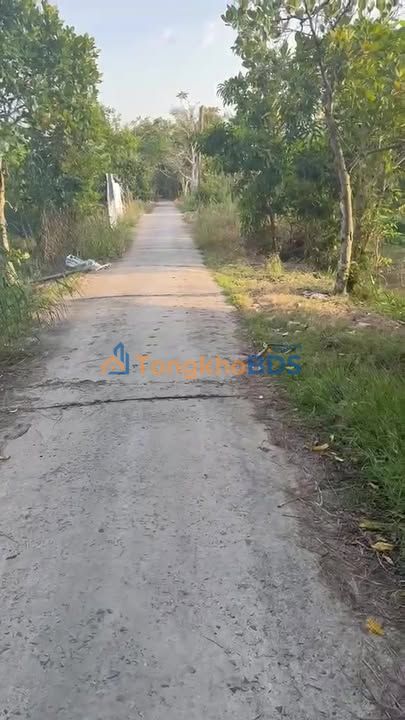 Bán đất T.Hậu Giang 2000m² giá tốt - Sổ lúa, cách lộ 61C 150m