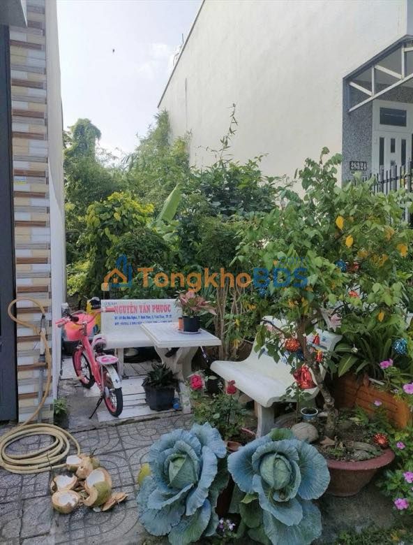 Bán Gấp Đất Tái Định Cư 61.5m² - Hẻm 283 Trần Quang Diệu, Bình Thủy, Cần Thơ - 1.6 Tỷ