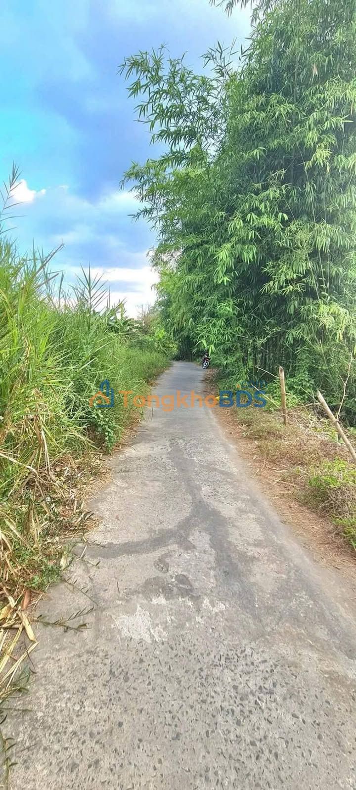 Bán Nền 514m² Giá 250 Triệu/Sổ - Vị Tân, TP. Vị Thanh