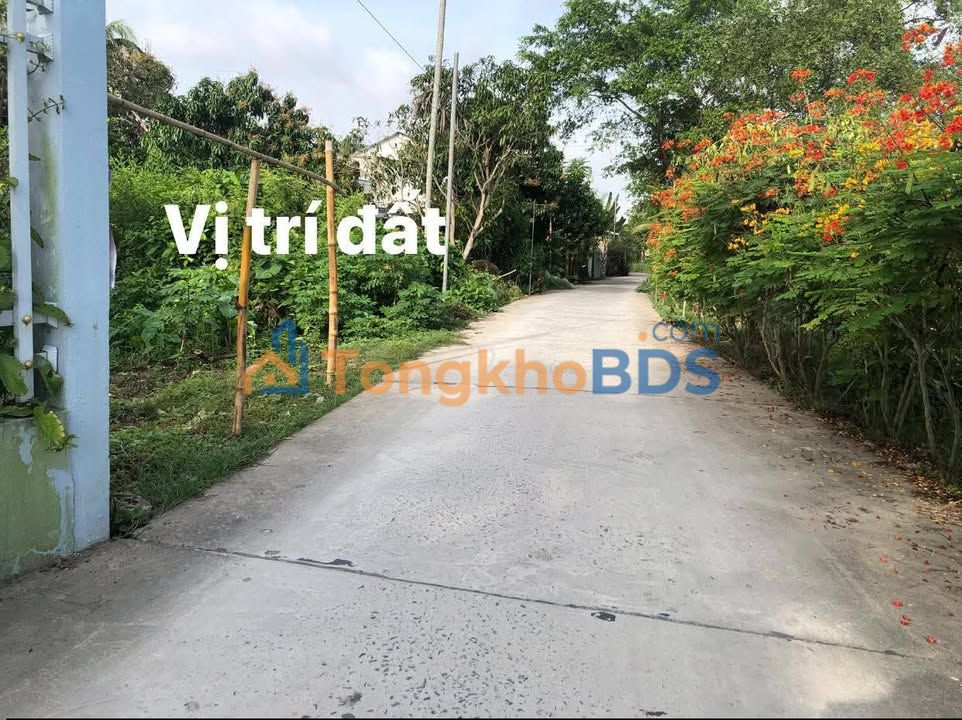 Bán đất 300m² Thị xã Bình Minh - 1.69 tỷ, view sông mát mẻ