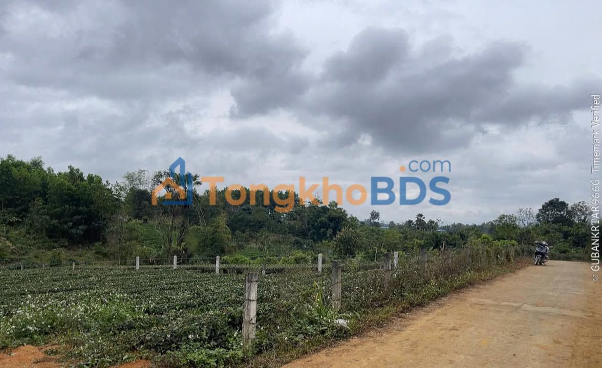 Đất nền Định Hóa, Thái Nguyên 500m² - Sổ đỏ sẵn sàng, đầu tư sinh lời