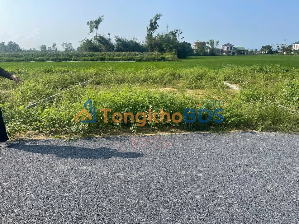 Bán Đất Nghi Thạch 89m² - Sổ Hồng Sẵn Sàng, Giá 1 Tỷ