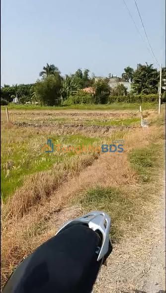 Đất Vườn 1000m² Củ Chi - Sổ Hồng Riêng, Giá Đầu Tư 1.8 Tỷ