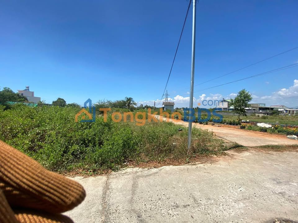 Đất Vườn 1000m² Hàm Thắng - Giá Đầu Tư Tốt, Sổ Hồng Sẵn Sàng