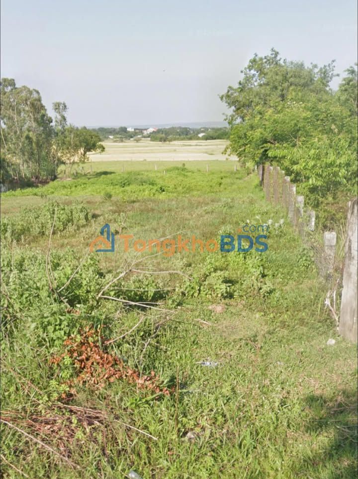 Đất Hàm Liêm, Bình Thuận 167.8m² Sổ Hồng Sẵn - Giá 590 Triệu