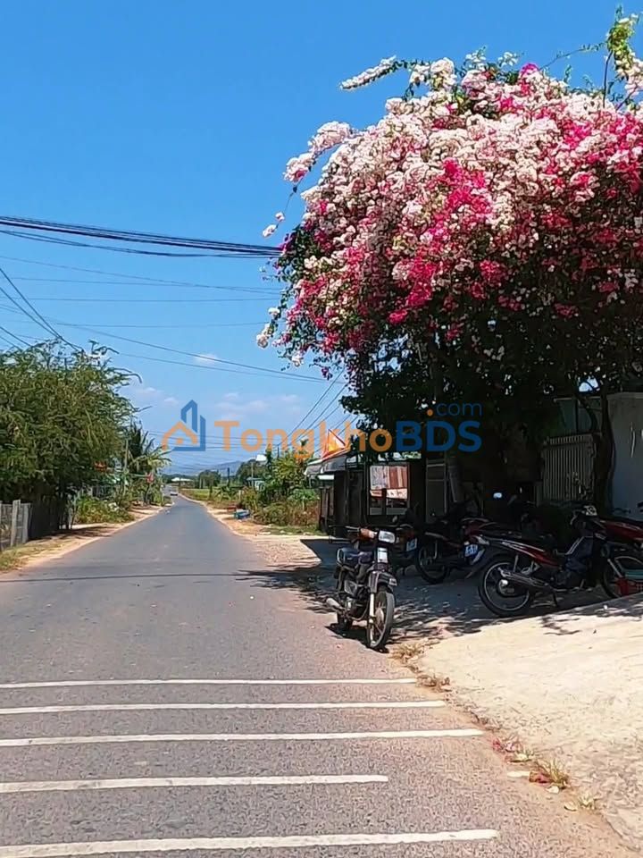 Đất Mặt Tiền Kinh Doanh Thuận Minh 162m² Giá 550 Triệu - Sổ Đỏ Sẵn