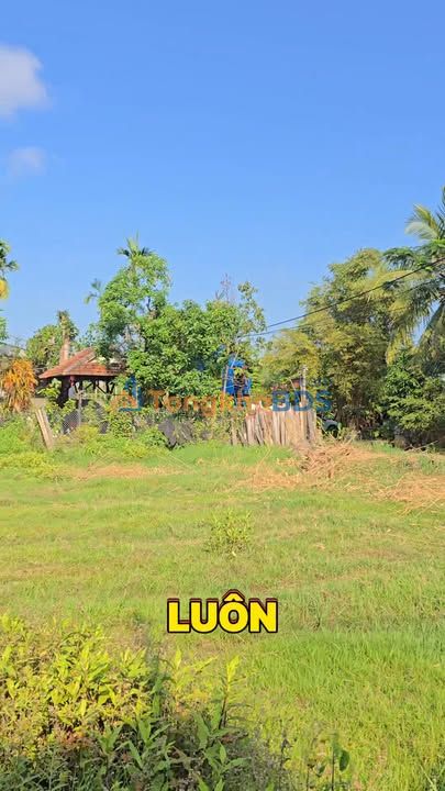 Đất Cẩm Thanh Hội An 100m² giá 2.55 tỷ – Sổ đỏ chính chủ