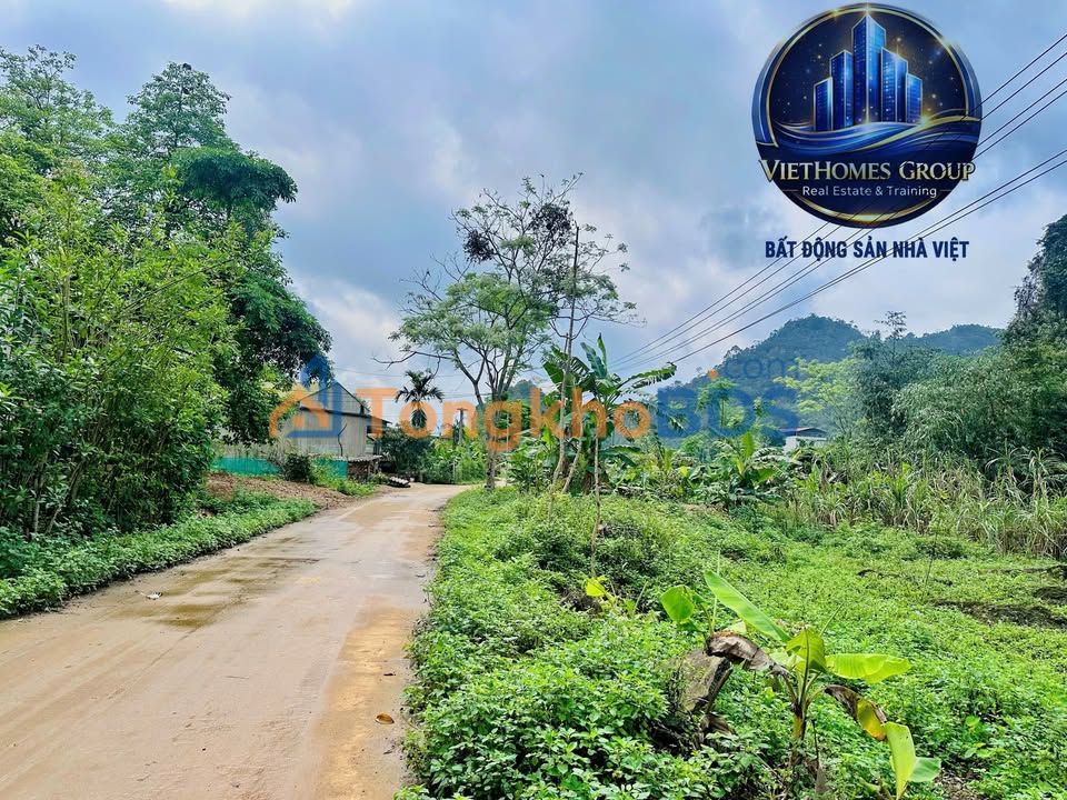 Đất Nền 1750m² Mặt Tiền Trục Lùng Pục, Vị Xuyên, Hà Giang - Sẵn Sổ Đỏ, Giá 4.9 Tỷ