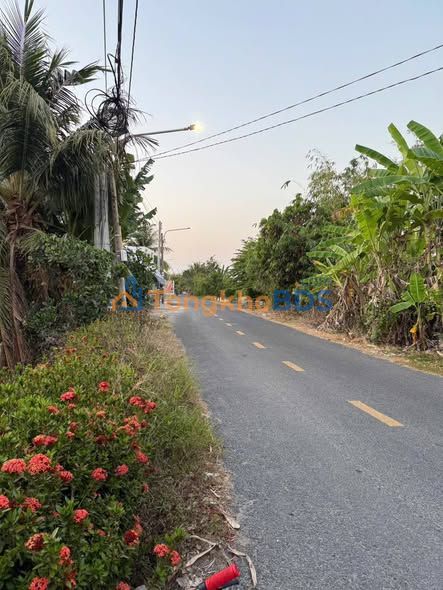Đất Tháp Mười 552.6m² Mặt Tiền Tôn Thất Tùng - Giá Đầu Tư 1.6 Tỷ