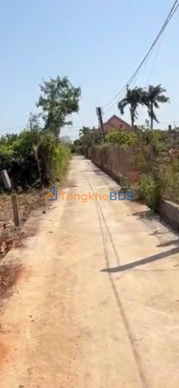 Bán Đất Xuyên Mộc 168m² Giá 720 Triệu - Sổ Đỏ Sẵn Sàng