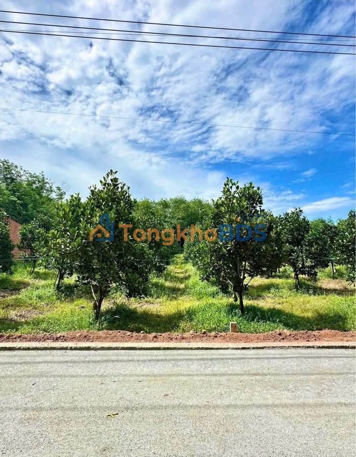 Bán đất vườn 1000m² Bình Dương - Sổ hồng riêng, giá chỉ 3xx triệu