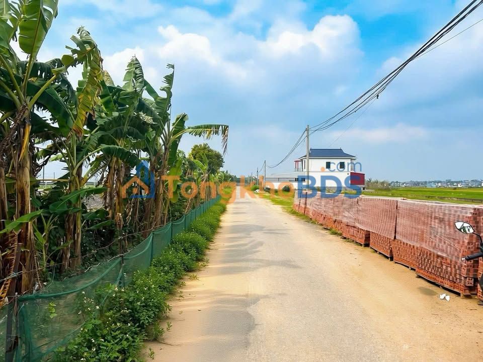 Đất Vườn Mặt Sông Duyên Hải 175m² - Giá Đầu Tư 2 Tỷ