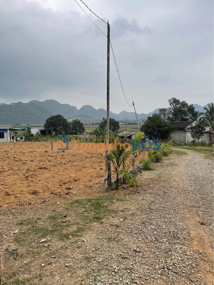 Đất Nền Nho Quan, Ninh Bình 329m² - Mặt Tiền Rộng, Đường Ô Tô