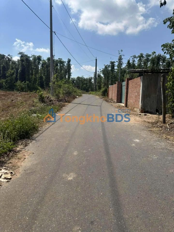 Bán Gấp Đất Vàng Xã Bình Trung, Châu Đức - 7200m², Mặt Tiền Rộng 45m