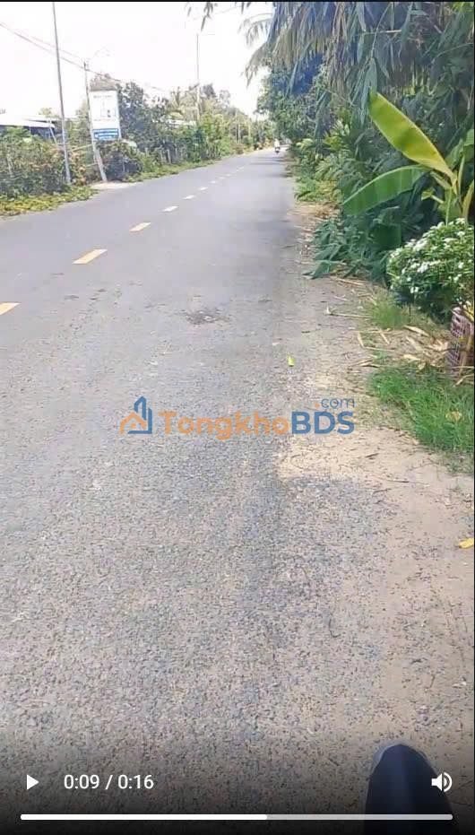 Bán Gấp Vườn Sầu Riêng 9779m² Đồng Tháp - Giá Rẻ Nhất