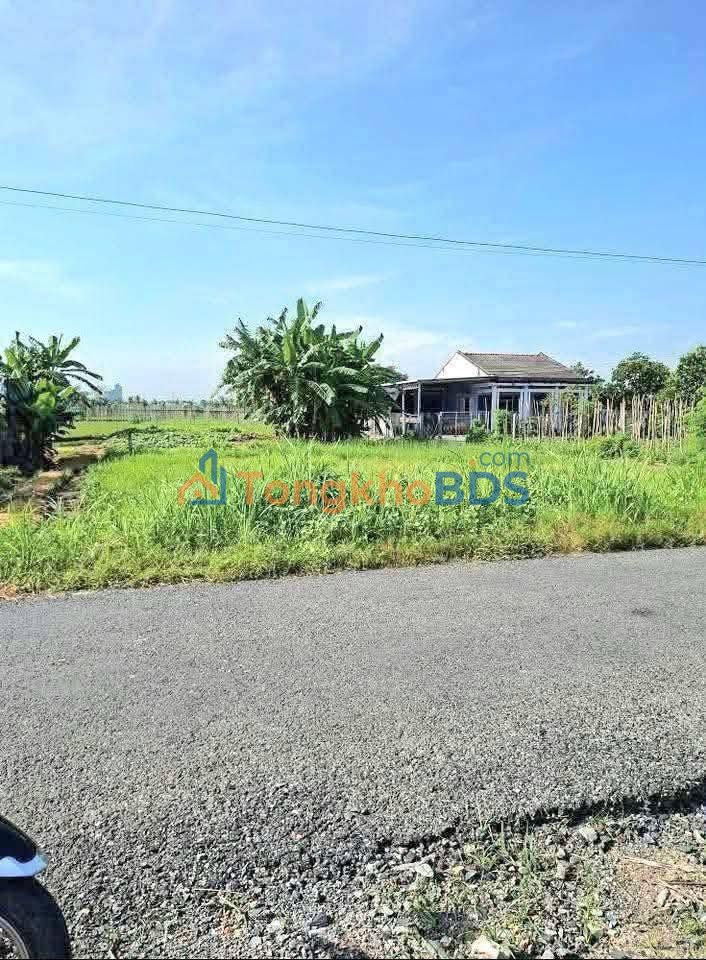 Đất Mặt Tiền Nhựa Tân Đông, Gò Công Đông - 507m², Sẵn Sổ Hồng, Giá 1.15 Tỷ