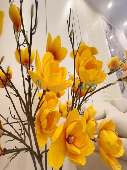 Nhà Phố Việt Hưng, Long Biên 50m² 5 Tầng - Ô Tô Vào Nhà, Thang Máy Nhập Khẩu