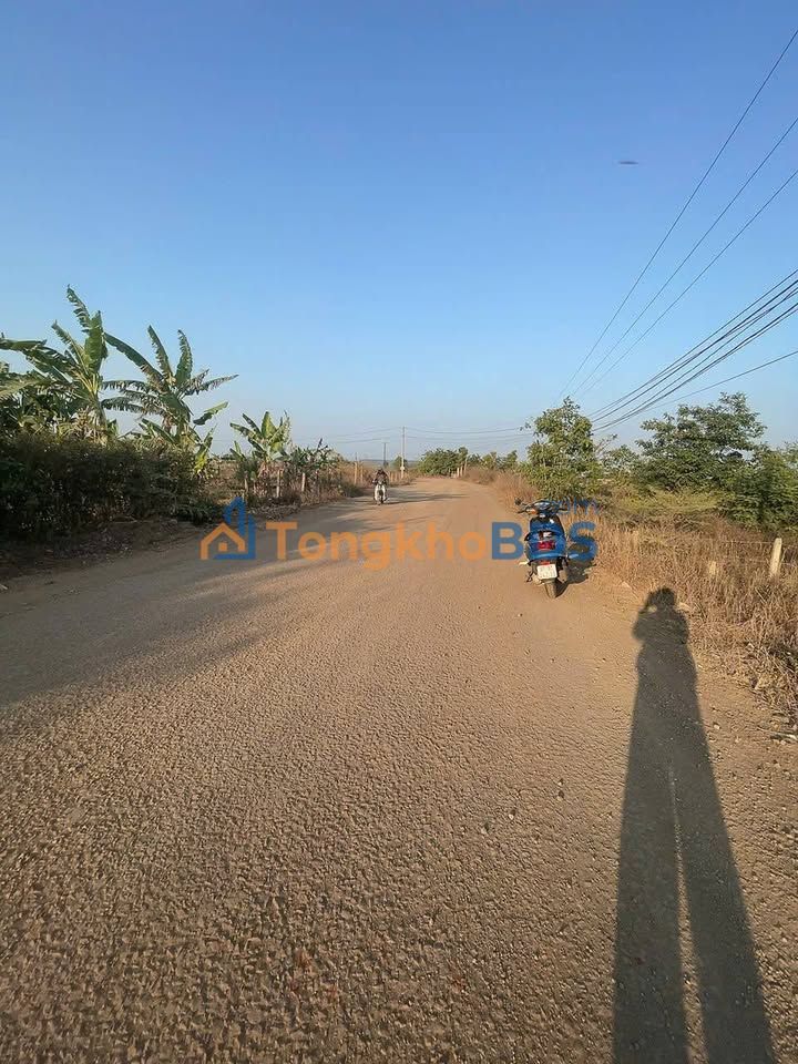 Đất nền Mặt tiền Hàm Nghi, Pleiku 501m² - View ruộng mát mẻ, Sổ hồng 100% đất ở