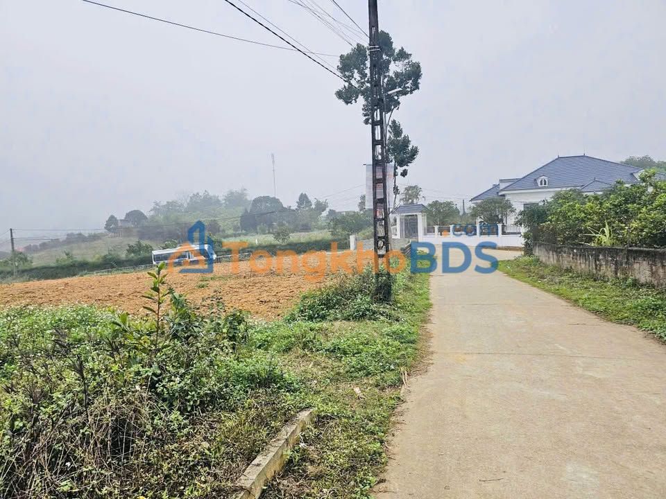 Đất Cao Phong Hòa Bình 2126m² - Lô Góc 2 Mặt Tiền, Sổ TC