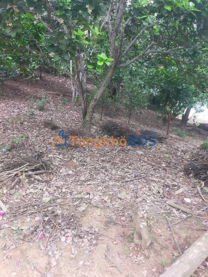 Đất nền Bảo Thắng 500m² Sổ đỏ - Giá chỉ 395 triệu