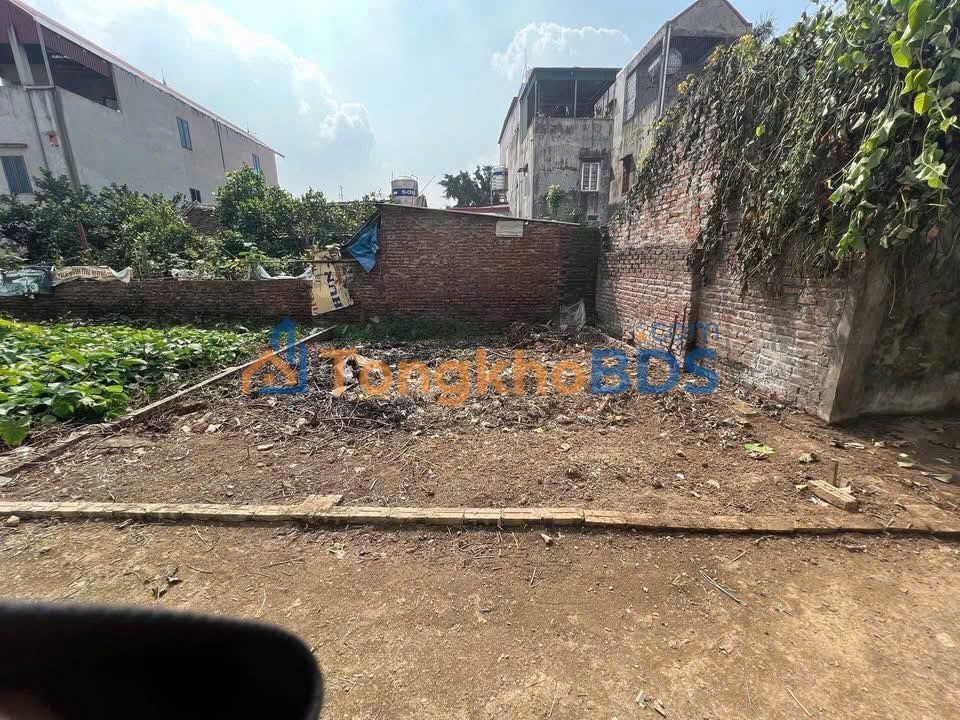 Bán Đất Thổ Cư 43.5m² Phúc Thịnh, Đông Anh - Sổ Hồng Sẵn Sàng