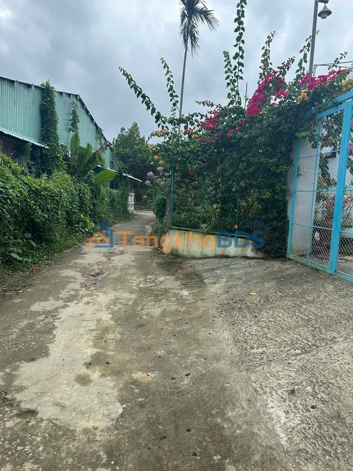 Bán đất Nam Phước, Duy Xuyên 148m² - Sổ đỏ đô thị, giá chỉ 8xx triệu