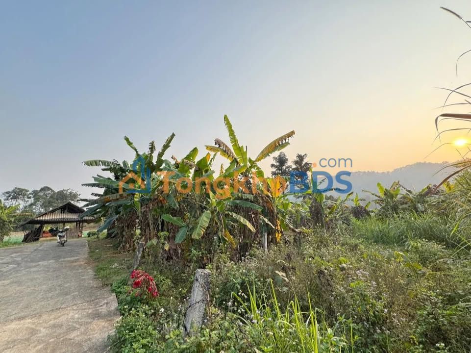 Đất nền Đồng Văn 300m² - Giá 299 triệu - Sổ đỏ sẵn sàng