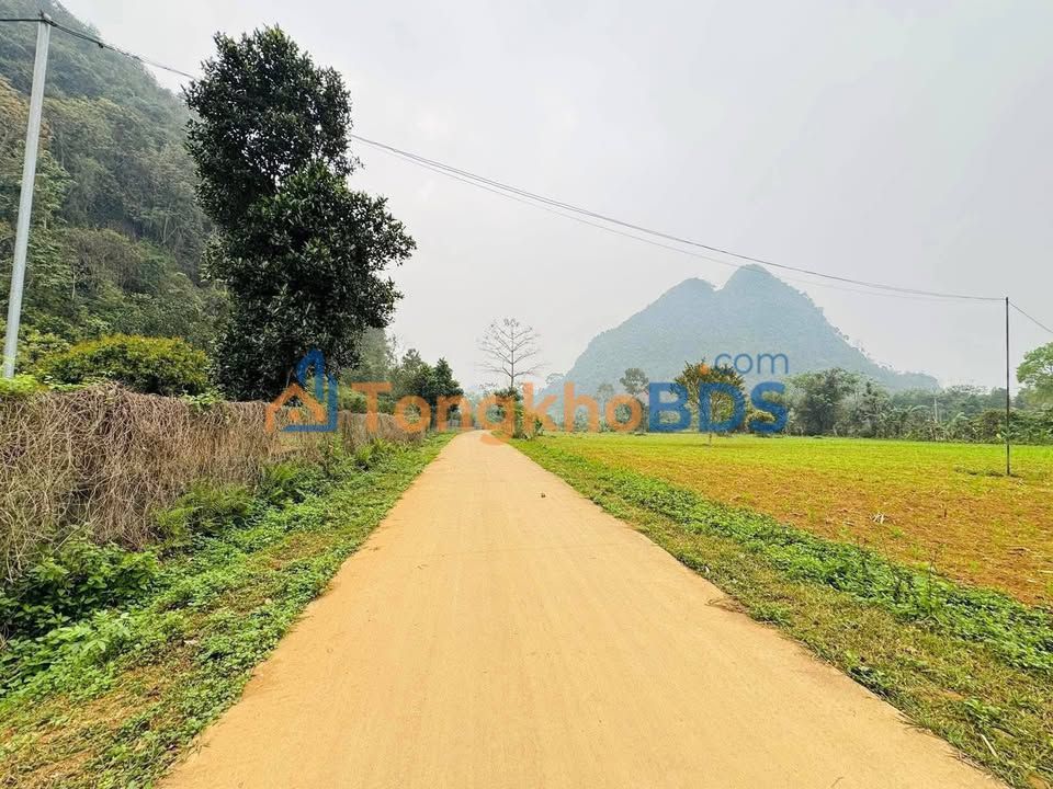 Bán Đất Mặt Tiền Quang Trung, Hà Giang 560m² - Giá 380 Triệu