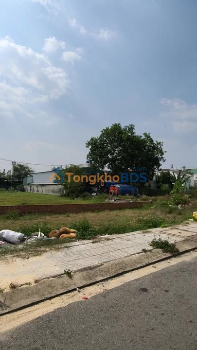 Đất Mặt Tiền Ấp Mới 1, Hóc Môn 100m² - Giá Tốt, Sổ Hồng Sẵn