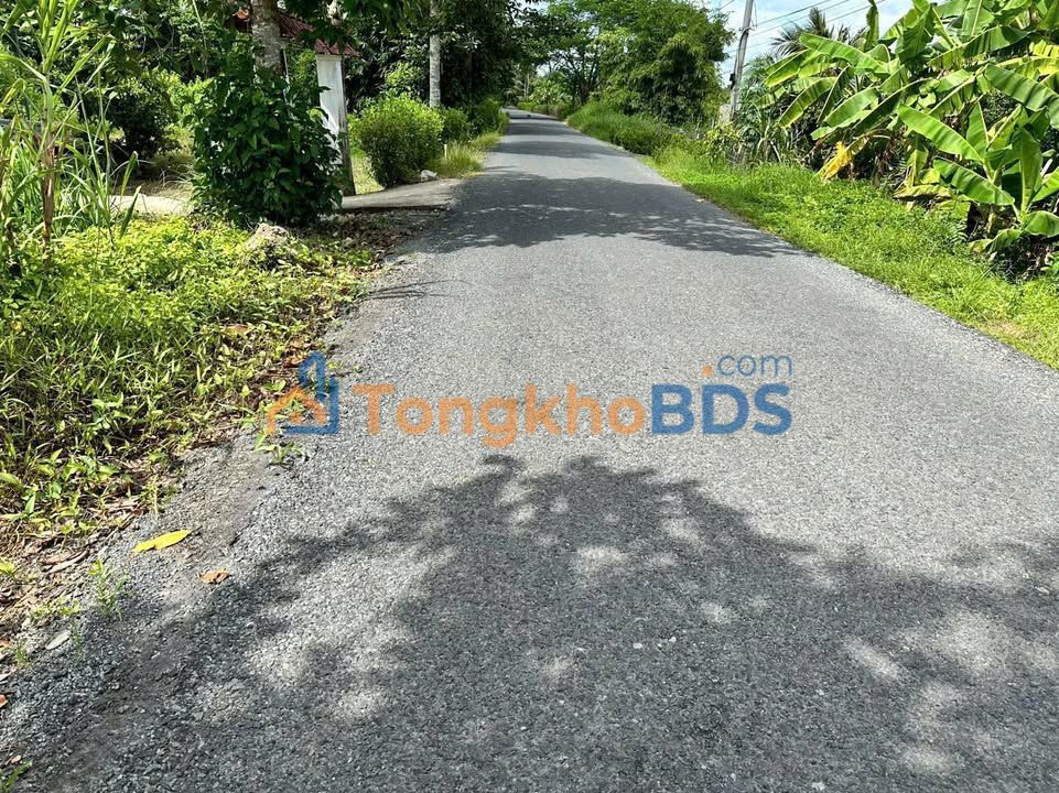 Bán Đất Vườn 3000m² Đường Nhựa Lộ 8 Tấn - Phong Điền, Cần Thơ - Giá 2.1 Tỷ
